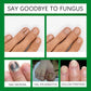 Tea Tree Nail Fungus Treatment Serum – Anti-Infection, Repair & Fungal Removal Cream