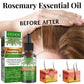 Organic Rosemary Essential Oil – Hair Growth, Scalp Care & Strengthening Nourishing Oil